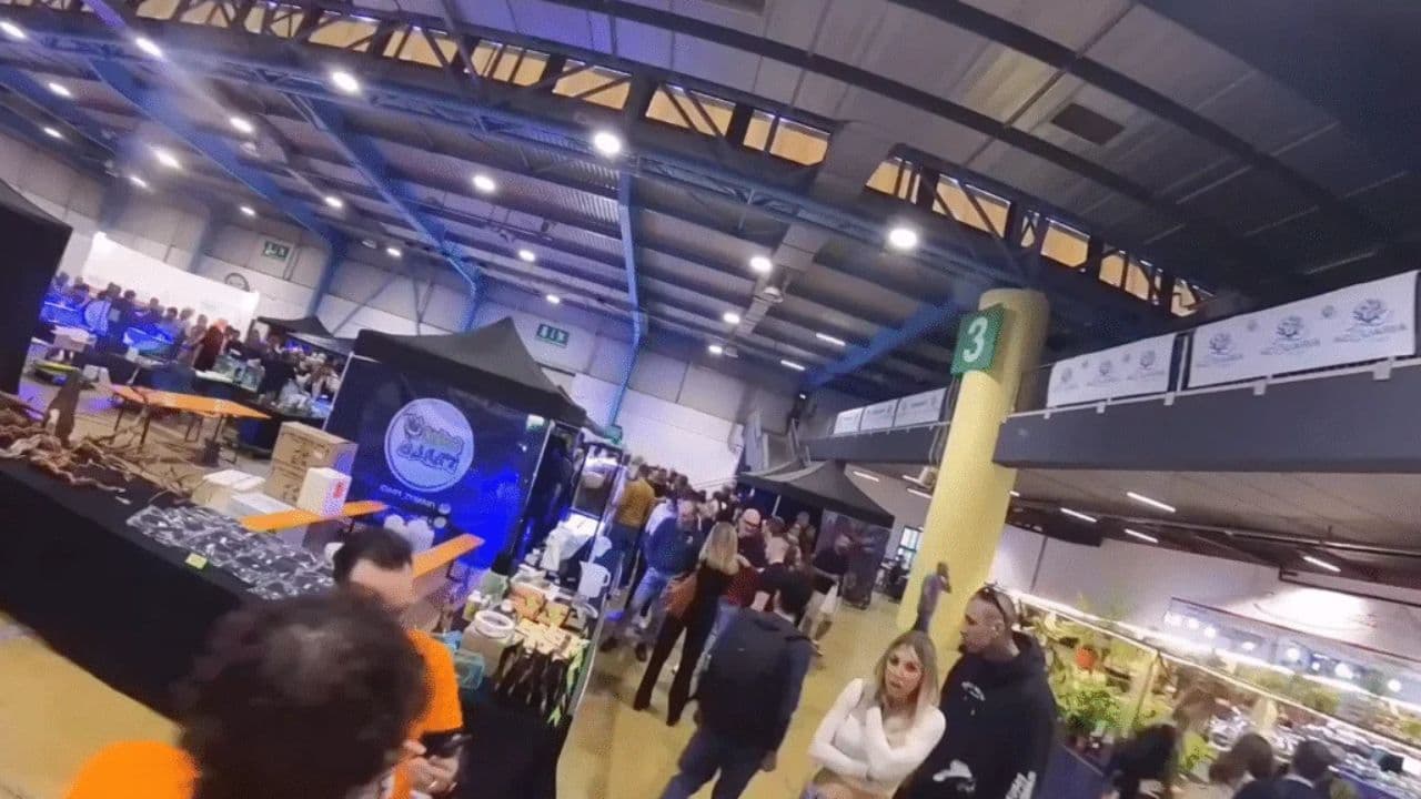 AcquariaItalia 2026: gli stand