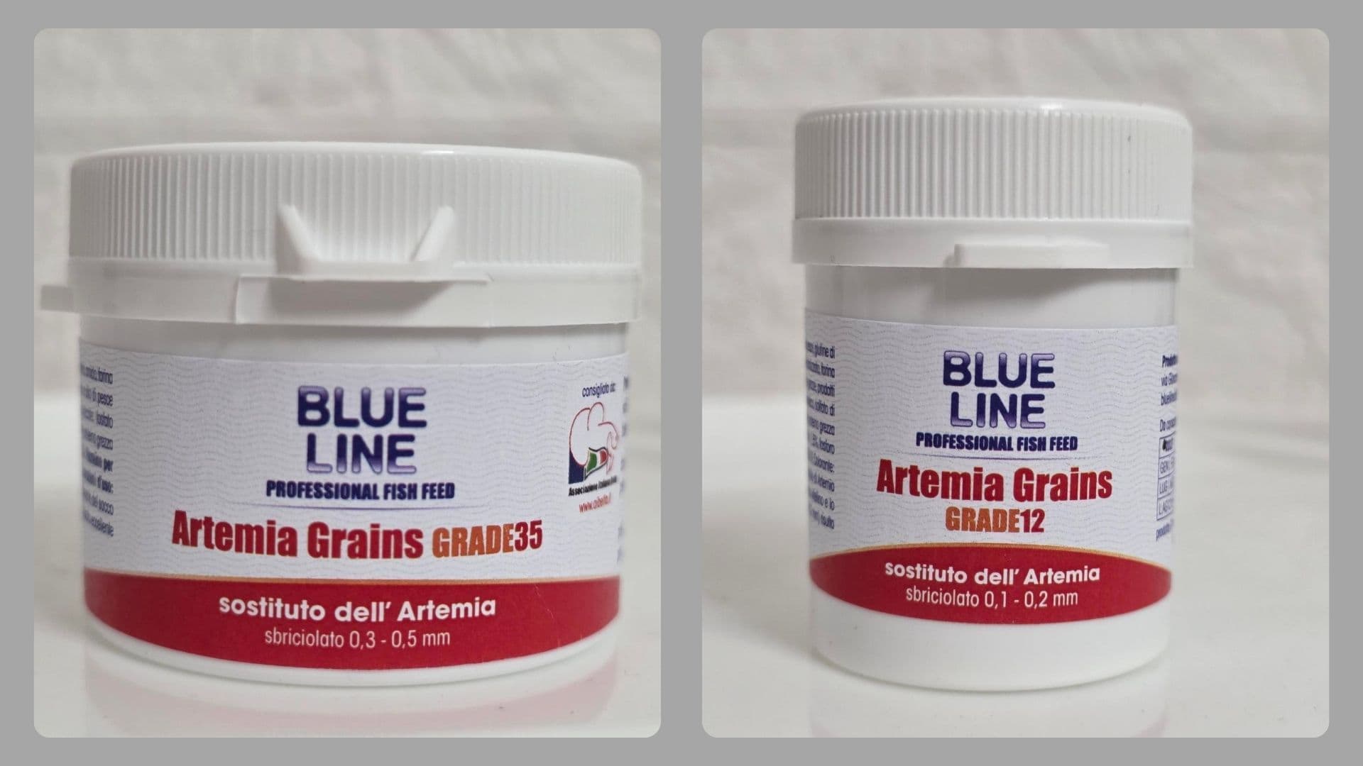 Artmia-grains-granulometrie