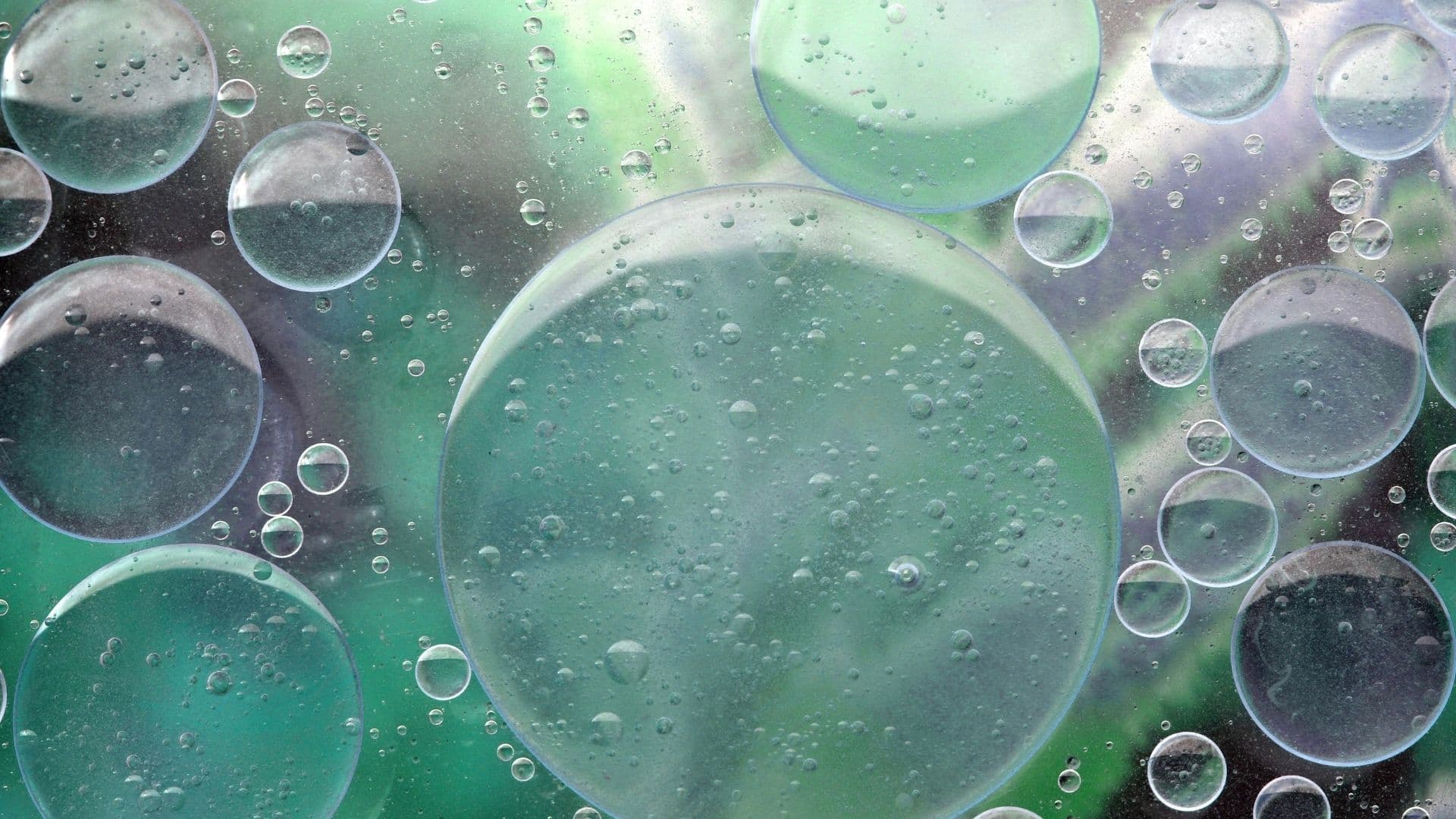 Osmosi e acqua osmotica in acquario: cosa sono e come usarle correttamente