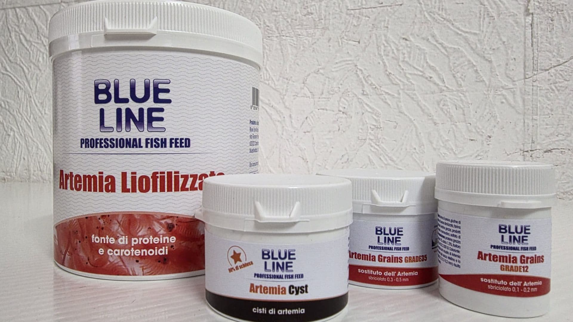 Mangimi-Blue-Line-Artemia